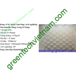 tam lang vach nghieng1564547654