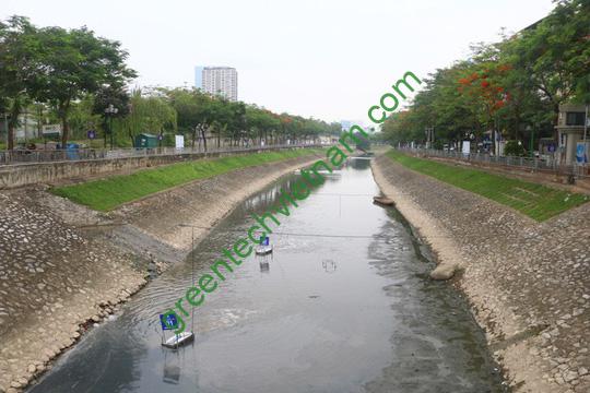 tolichss 15627314263011449042631